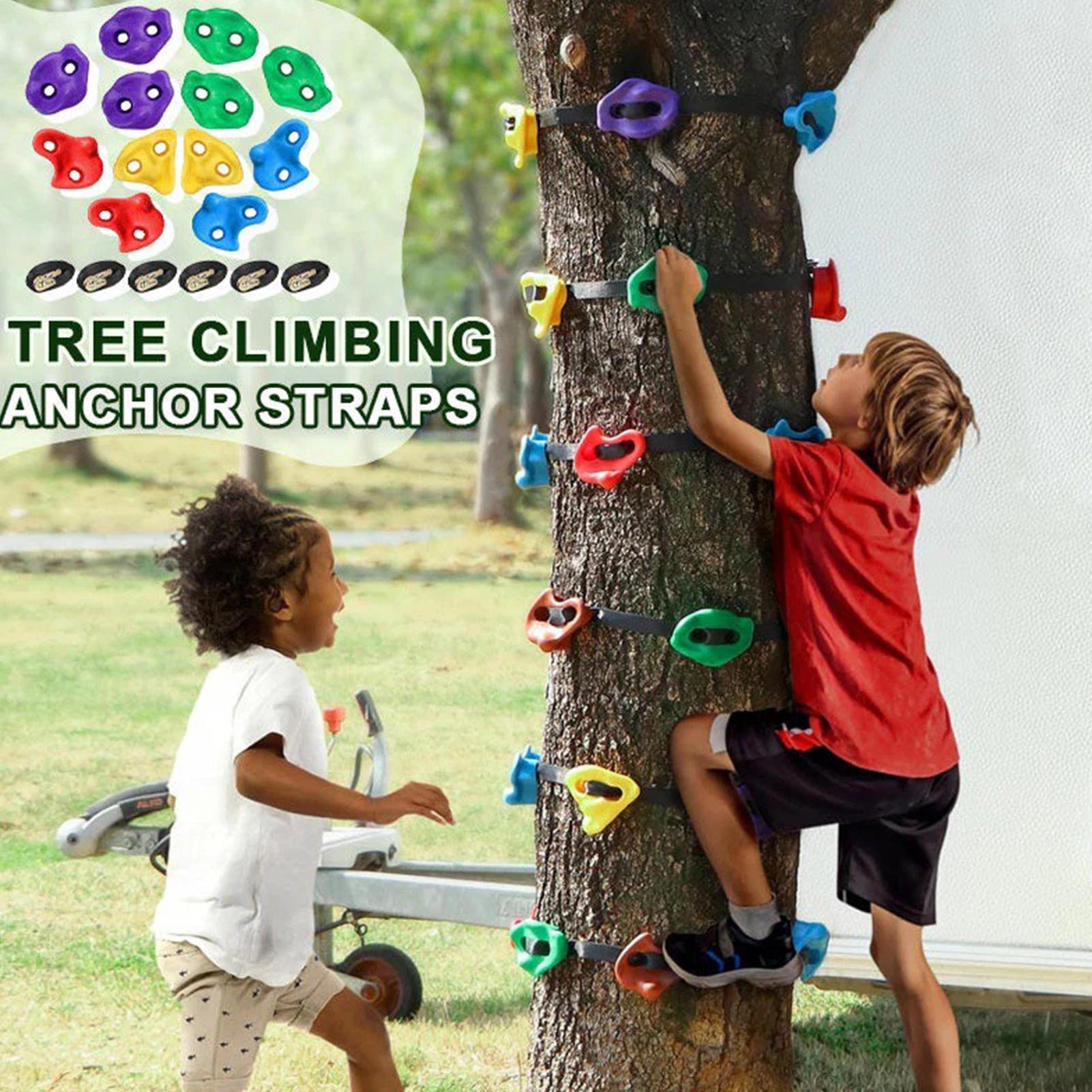 Outdoor Adventure Store - Equipo de Escalada en Árboles Ajustable